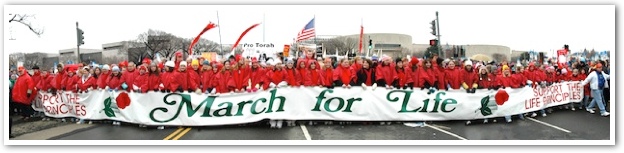 March-for-Life-Banner