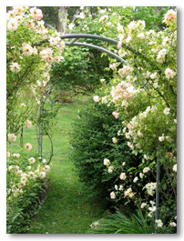 rose-garden-arch.jpg