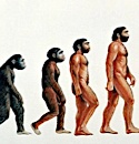 Apes R Not Us: Catholics &amp; the Debate Over Evolution