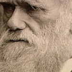 The Real Problem With Darwinism