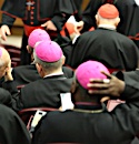 What the synod is really all about