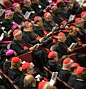 Five Guiding Principles for the Synod