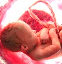 Day of Prayer for the Legal Protection of Unborn Children