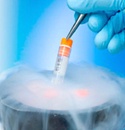¿Podemos adoptar un embrión congelado?